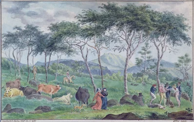 Nautalauma ja paimenia lähellä jokea Ile de la Reunionin itäpuolella, lokakuu 1812