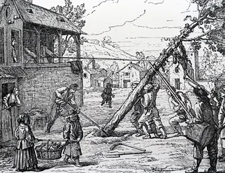 Maypolen istutus
