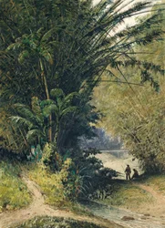 Bamboo Grove Trinidadissa
