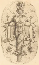 Sarvimainen nero