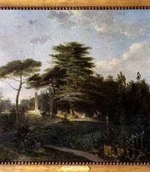 Libanonin setri Pariisin Jardin des Plantesista Yksityiskohta - Jean Houelin (1735-1813) maalaus 1700-luvun aurinko 0,55x0,8 m Pariisi, Musee Carnavalet