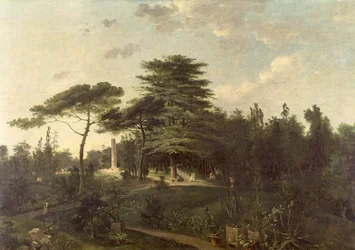 Libanonin setri Jardin des Plantesissa