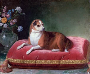 Narttu tyynyllä, c1694-1735