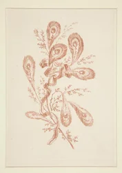 Nimetön (Ideal Flowers), kuuden kappaleen sarjasta