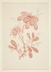 Nimetön (Ideal Flowers), kuuden kappaleen sarjasta