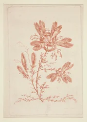 Nimetön (Ideal Flowers), kuuden kappaleen sarjasta