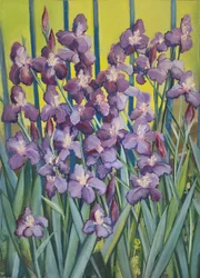 Violetit iirikset, 2023 (pastelli paperille)