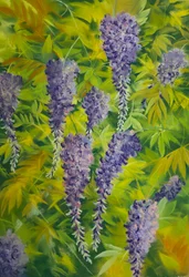 Wisterian kukat ja lehdet 2, 2023 (pastelli paperille)