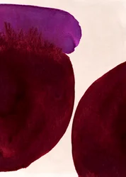 Luonnonmukaiset purppuranväriset pesuaineet