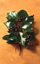 Helmikuu (kahdentoista sarjasta)