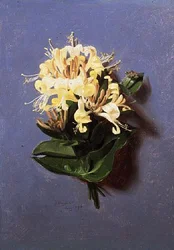 heinäkuuta (kahdentoista sarjasta)