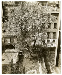 Mrs W H Wells 265 W 11th