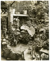 Allas, jossa on terassi George ja Mary Stonehillin koti, Greenwich Village, New York, USA, n. 1936-37 (gelatiinihopeakuva)