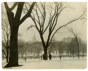 The Common, Boston, USA, n. 1902-1910 (gelatiinihopea valokuva)