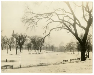The Common, Boston, Yhdysvallat, n.1902-10 (gelatiinihopeakuva)