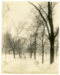 The Common, Boston, Yhdysvallat, n.1902-10 (gelatiinihopeakuva)