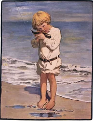 Billy Boysin löytö oli lokki, jolla oli loukkaantunut siipi (väri litho)