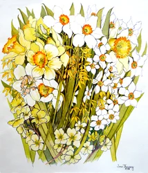 Narsissit, Narsissit, Forsythia ja Primroses, 2000
