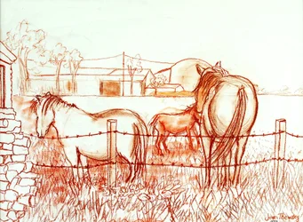 Serenadi,Janie ja aasi niityllä,2000, (Terracotta Conte`)