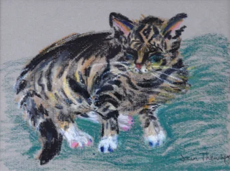 Raidallinen kissa, 2005
