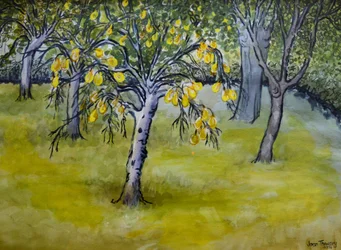 Pieni päärynäpuu, 2005