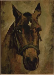 CABEZA DE CABALLO. Taiteilija: JOAQUIN SOROLLA. Paikkakunta: PRIVATE COLLECTION, MADRID, ESPANJA
