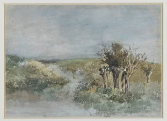Maisema pollarin pajuilla ojan varrella