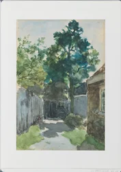 aurinkoinen piha