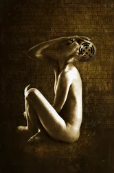 Scream, 2013 (valokuvien käsittely)