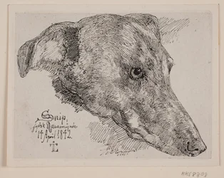 Tanskan kieli: Hundehoved, Snip