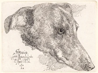 Tanskan kieli: Hundehoved, Snip
