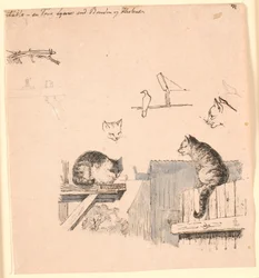 Kaksi kissaa. F.o. tutkimuksia kissan päistä, linnusta, kissan korvasta ja palkin työstä. Kuvitus Kaalundin "Fables for Children" -kirjaan. Katso kommentti arkkiluettelosta.