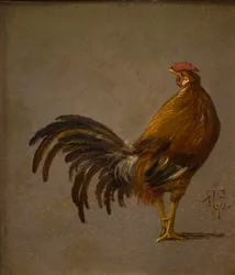 Kukko