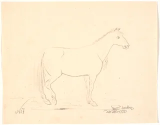 Seisova hevonen profiilissa t.h.