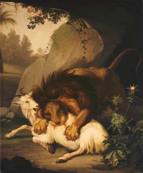 Leijona hyökkää vuohen kimppuun, 1785