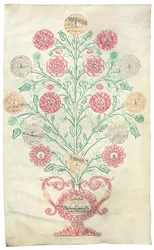 "Ruusu", sukupuu, joka esitettiin keisari Kaarle VI:lle, 1731