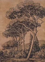 J C Reinhart Sateenvarjomännyt 1791