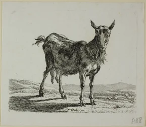 Standing Goat, Die Zweite Thiernahme