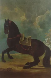 Bay Stallion espanjalaisella satulalla