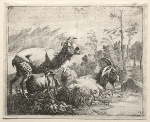 Vuohet, 1665.