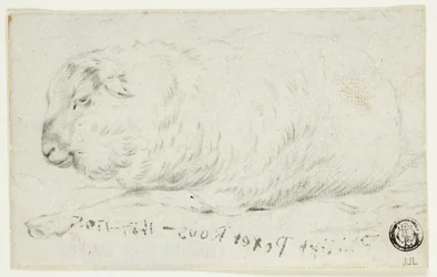 Lammas makaa alas