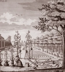 Kuva puutarhanäkymästä, 1753