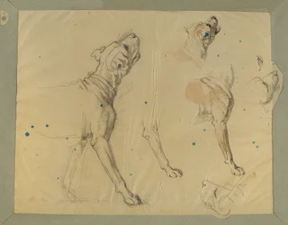Koiratutkimus "Landwehrin miehen kotiinpaluusta" (1820)