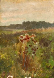 Maisema ala-Itävallassa