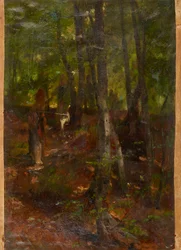 metsäinen maisema