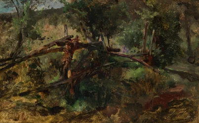 Metsäpolku aidalla