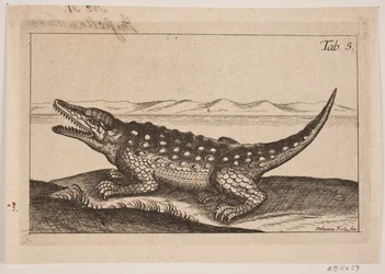 Krokotiili