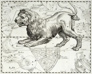 Leijona, eläinradan Leijonan tähdistö, kuvitus Johann Heveliuksen (1611-1687) tähtikartastosta Firmamentum Sobiescianum sive Uranographia, Gdańsk
