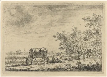 Kolme lehmää niityllä
