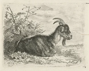 Valehteleva kirja